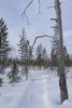 Буранный след Буранный след