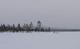 Виды Виды