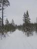 Буранка от оз. В. Волчье Буранка от оз. В. Волчье