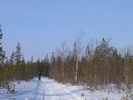 Буранка на оз. Пагель Буранка на оз. Пагель