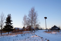 03.01.2008. Гнездо аиста в д. Гнеталово. Местные нам сказали, что аисты селятся в этом гнезде каждый год.